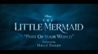Part-of-your-world-halle-bailey-the-little-mermaid-c_s