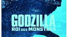 Godzilla-roi-des-monstres-4k-3d-2d-c_s