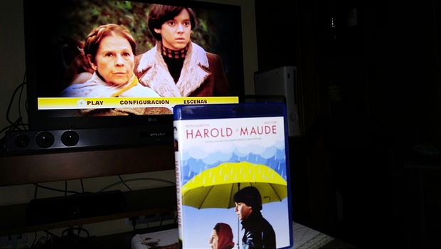 Harold y Maude. Una locura maravillosa 