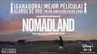 Disney-plus-estrenara-nomadland-un-mes-despues-de-su-lanzamiento-en-cines-c_s