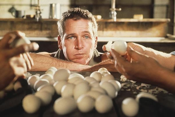ESCENAS INOLVIDABLES - LA LEYENDA DEL INDOMABLE 1967 "Puedo comerme 50 huevos"