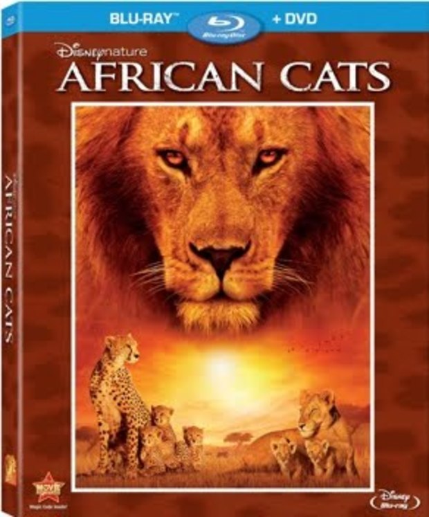 Alguien sabe cuándo va a llegar a España African Cats?