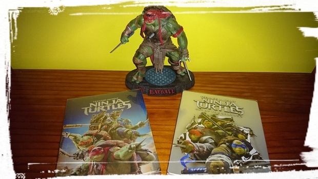 Teenage Mutant Ninja Turtles - Colección