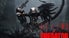 Alien-vs-predator-3-parte-o-reboot-c_s