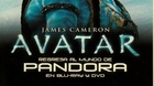 Avatar-anuncio-de-cuando-se-puso-a-la-venta-en-dvd-y-blu-ray-c_s