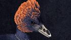 Jurassic-park-se-hace-realidad-realidad-han-creado-el-primer-dino-pollo-con-hocico-de-velocirraptor-c_s
