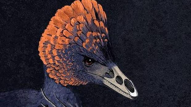 Jurassic Park se hace realidad : Han creado el primer "Dino-pollo" con hocico de Velocirraptor