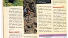 El-mundo-perdido-jurassic-park-reportaje-revista-top-disney-septiembre-1997-8-9-c_s