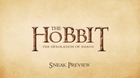 The-hobbit-the-desolation-of-smaug-sneak-preview-c_s