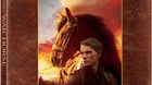War-horse-caballo-de-batalla-c_s