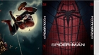 Slipcover-the-amazing-spider-man-yoyas89-c_s