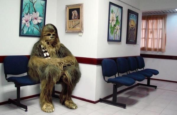 En la sala de espera del hospital donde está ingresado HARRISON FORD.