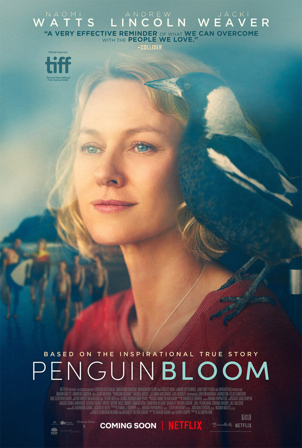 'Penguin Bloom' de Glendyn Ivin. Trailer.