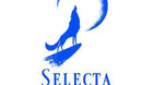 75-descuento-seleccion-anime-selectavision-c_s