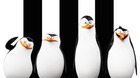 Primer-poster-de-la-pelicula-de-los-pinguinos-de-madagascar-c_s