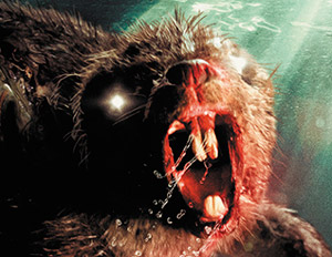 Tráiler doblado de Zombeavers (Castores Zombies), pronto en Blu-ray
