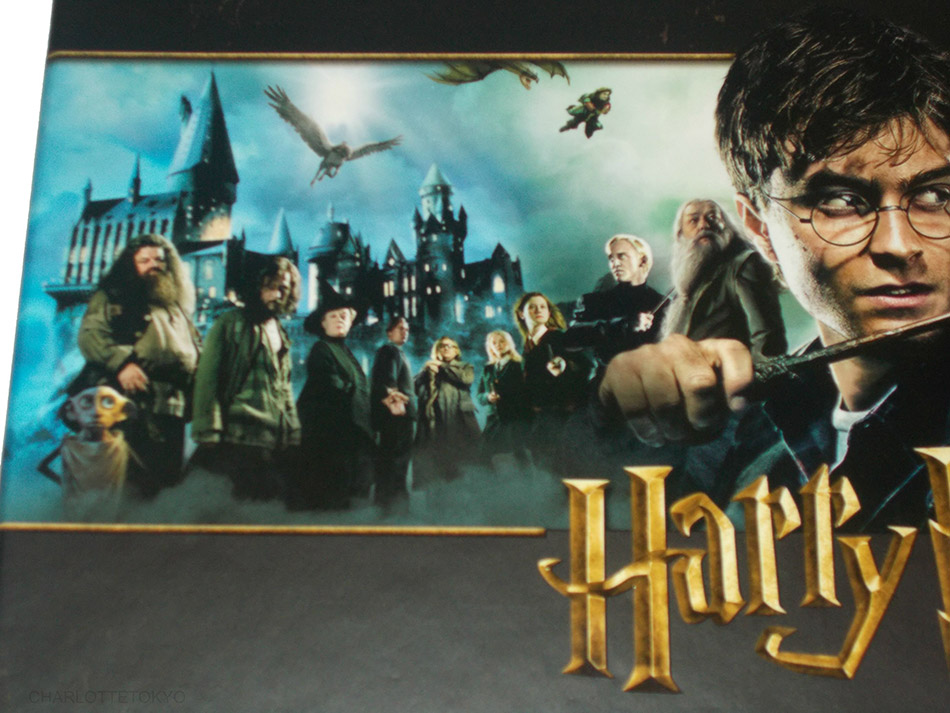 Fotografías de la Colección Hogwarts de Harry Potter en Blu-ray 9