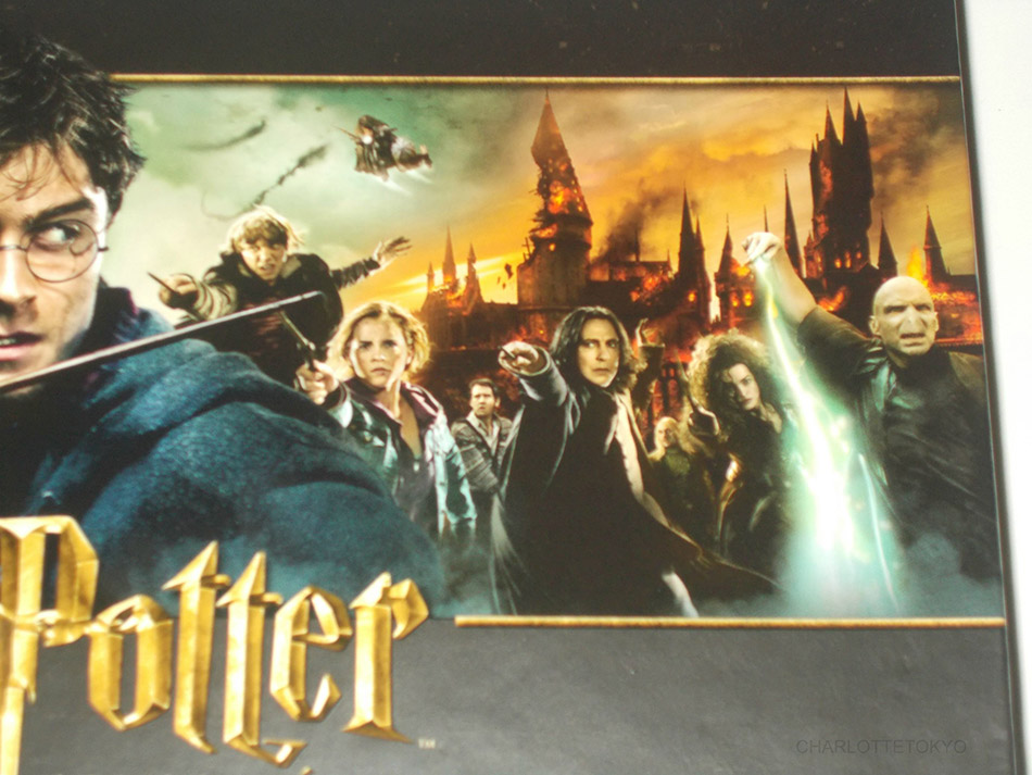 Fotografías de la Colección Hogwarts de Harry Potter en Blu-ray 10
