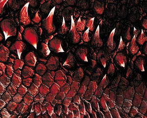 Pack con las cuatro primeras temporadas de Juego de Tronos en Blu-ray