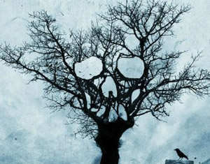 Cuentos de Halloween (Tales of Halloween) anunciada en Blu-ray