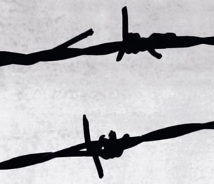 Noche y Niebla de Alain Resnais anunciada en Blu-ray