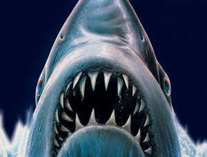 Oferta: Pack con Tiburón 2, 3 y La Venganza en Blu-ray