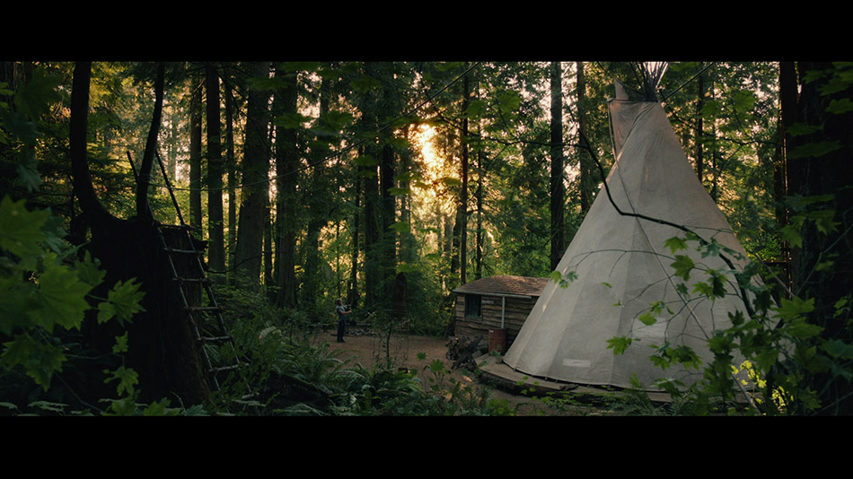 Captura de imagen del Blu-ray de Captain Fantastic 4