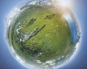 Cameo distribuirá el documental Planeta Tierra II en Blu-ray