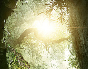 Teaser póster de Z, La Ciudad Perdida