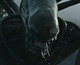 Nuevo tráiler de Alien: Covenant, dirigida por Ridley Scott