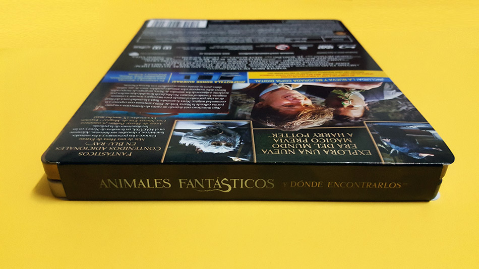 Fotografías del Steelbook de Animales Fantásticos y Dónde Encontrarlos en Blu-ray 4