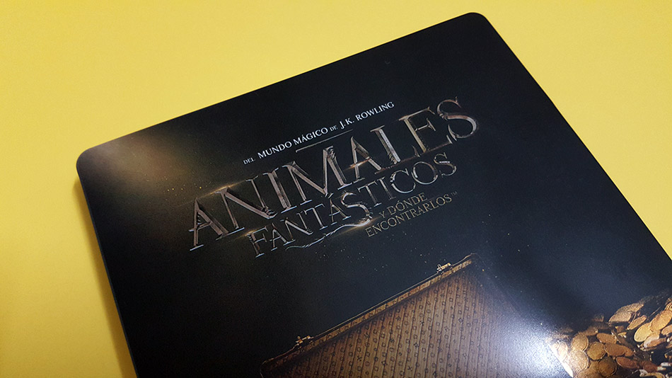 Fotografías del Steelbook de Animales Fantásticos y Dónde Encontrarlos en Blu-ray 9