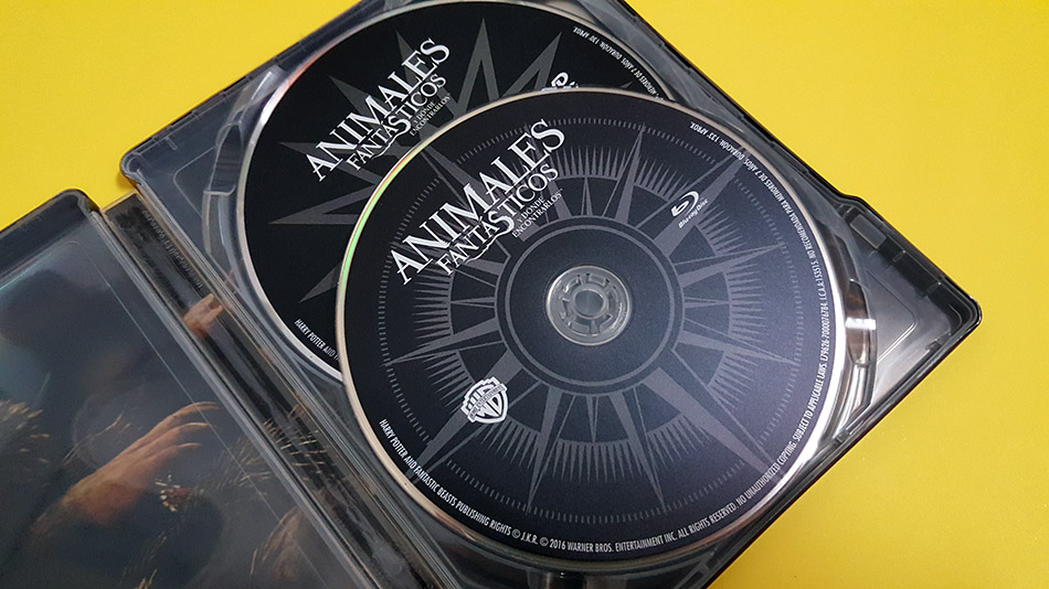 Fotografías del Steelbook de Animales Fantásticos y Dónde Encontrarlos en Blu-ray 13