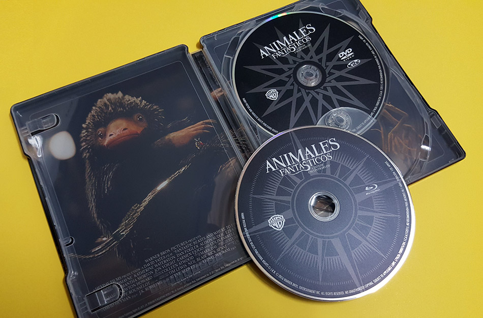 Fotografías del Steelbook de Animales Fantásticos y Dónde Encontrarlos en Blu-ray 14