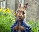 Primer tráiler de Peter Rabbit, basada en los libros de Beatrix Potter