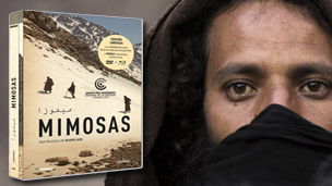 Edición limitada en Blu-ray de Mimosas con libro incluido