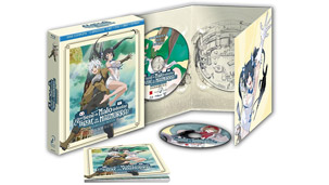 Anuncio de ¿Qué tiene de Malo intentar Ligar en una Mazmorra? en Blu-ray