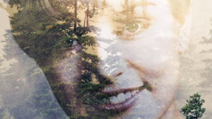 Anunciada la tercera temporada de Twin Peaks en Blu-ray