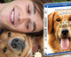 Todos los detalles de Tu Mejor Amigo en Blu-ray