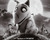 Póster definitivo de Frankenweenie de Tim Burton