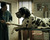 Tráiler de Dogman, del multipremiado cineasta italiano Matteo Garrone