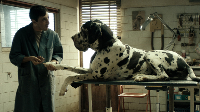 Tráiler de Dogman, del multipremiado cineasta italiano Matteo Garrone