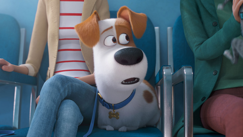 Primer tráiler de la película de animación Mascotas 2