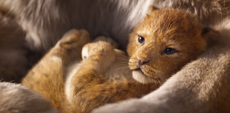Teaser tráiler de la película de acción real de El Rey León