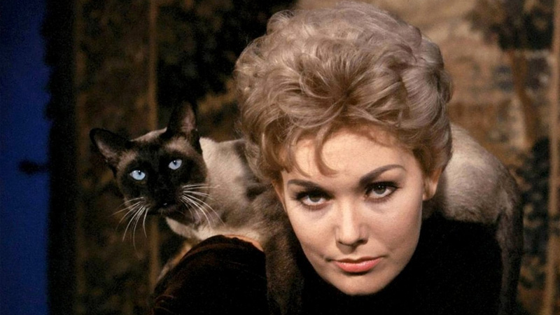 Sony Pictures editará el clásico Me Enamoré de una Bruja en Blu-ray