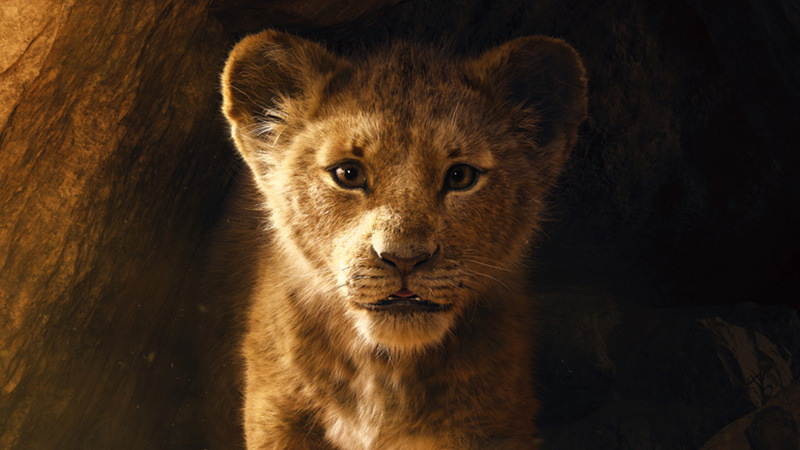 Nuevo adelanto de la película El Rey León, dirigida por Jon Favreau