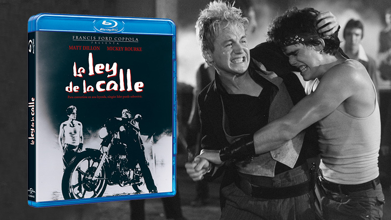 Estreno en Blu-ray de La Ley de la Calle, dirigida por Francis Ford Coppola