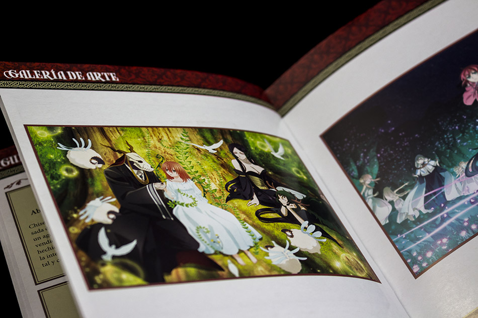 Fotografías de The Ancient Magus Bride Parte 1 en Blu-ray 19