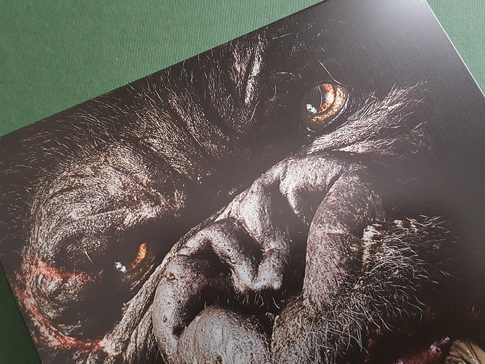 Fotografías del Steelbook de King Kong en UHD 4K 16