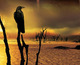 La miniserie The Stand (Apocalipsis) de Stephen King saldrá en Blu-ray